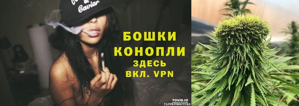 амф Белоозёрский
