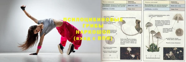 Альфа ПВП Белокуриха