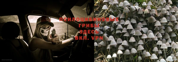 амф Белоозёрский