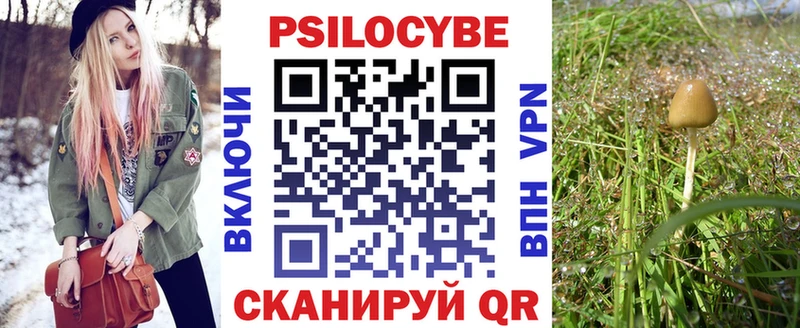 мега ссылка  Волосово  Псилоцибиновые грибы мухоморы 